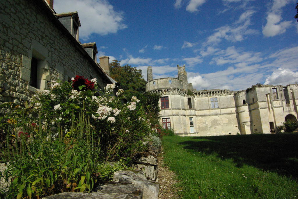 Chateau De Veuil Екстериор снимка